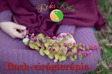 Bach-virágterápia